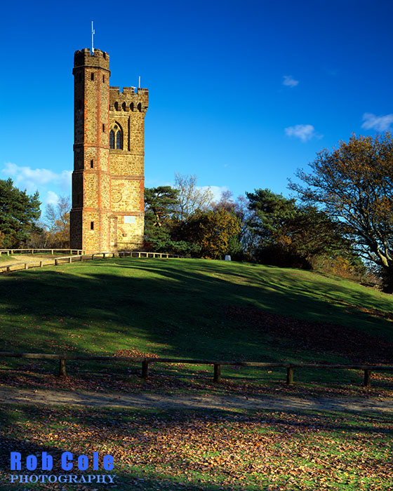 The tower on Leith Hill