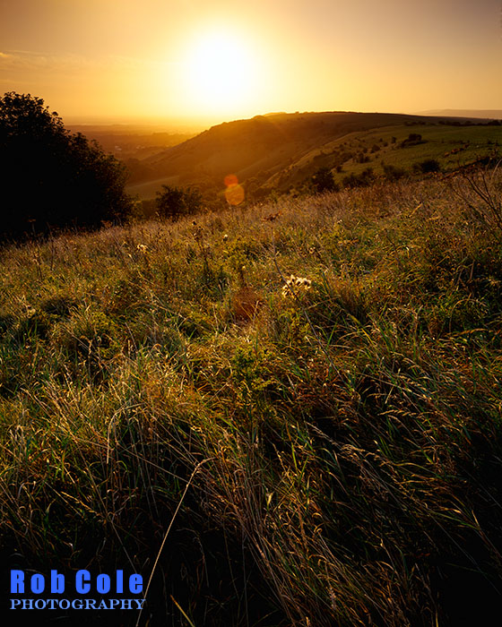 A hazy late summer sunrise at Ditchling Beacon