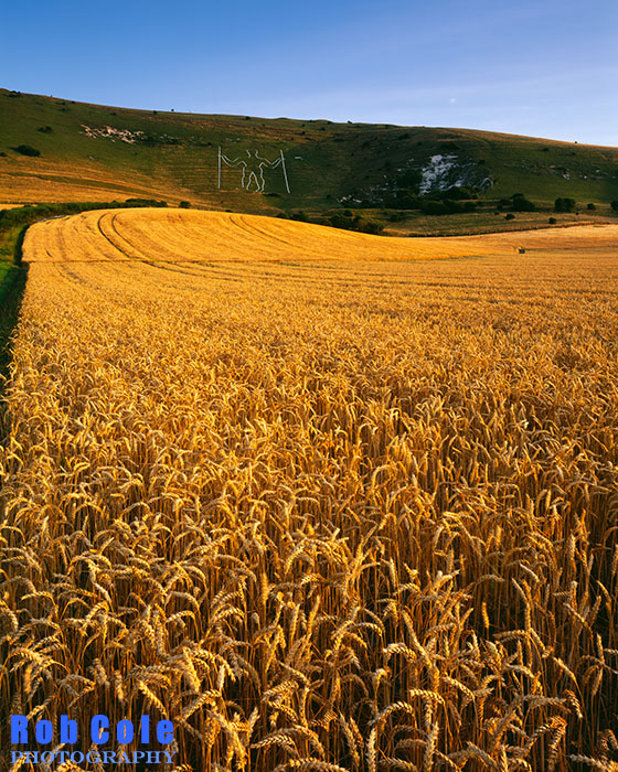 The chalk figure of the Long Man on the escarpment of the South Downs above Wilmington