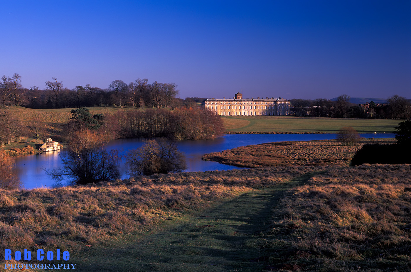 A bright crisp autumn afternoon in Petworth Park