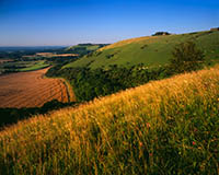 A summer evening view along the Fulking escarpment towards Devil