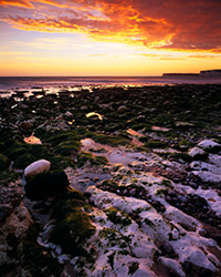 The chalk bedrock platform catches the reflected light of the sky shortly after sunset at Birling Gap